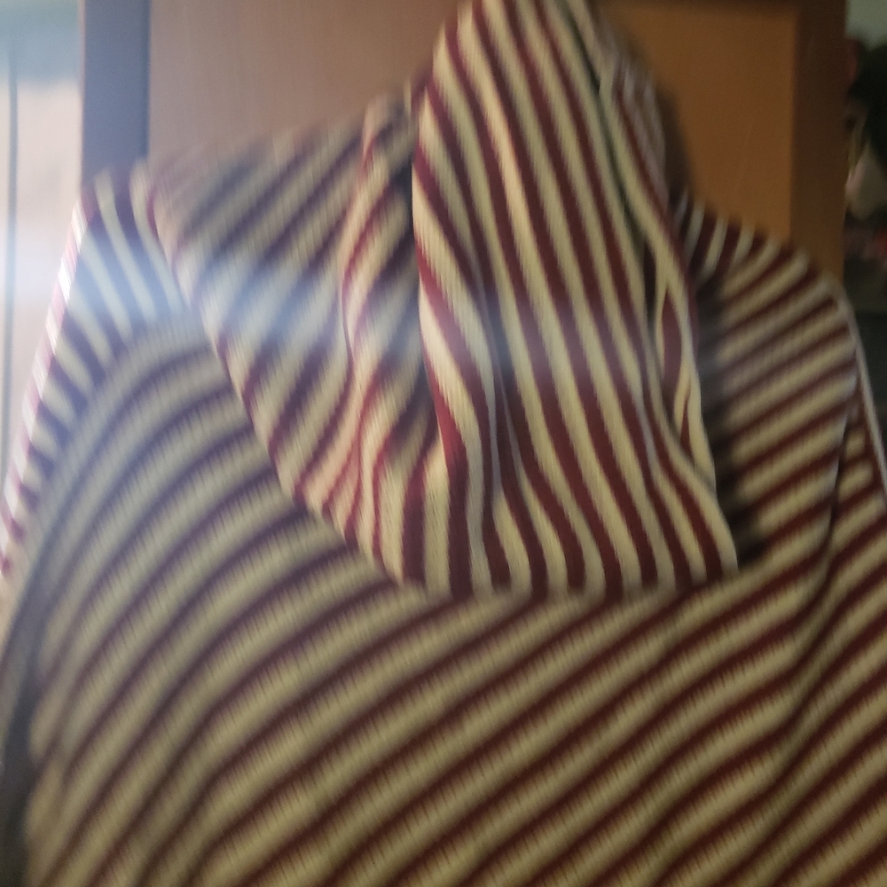 Poncho - Picture 6 of 6